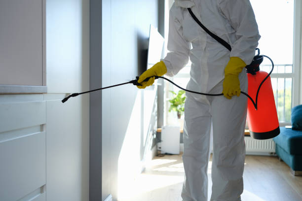 Best Emergency Mold Remediation in Wayne, WV