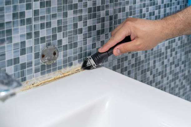 Best Residential Mold Remediation in Wayne, WV